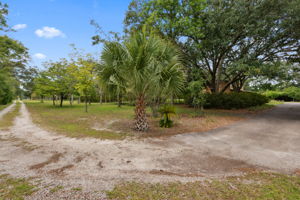 Front Yard