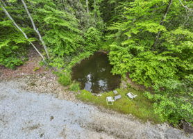  Photo 47