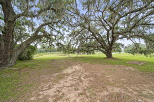 Photo 51