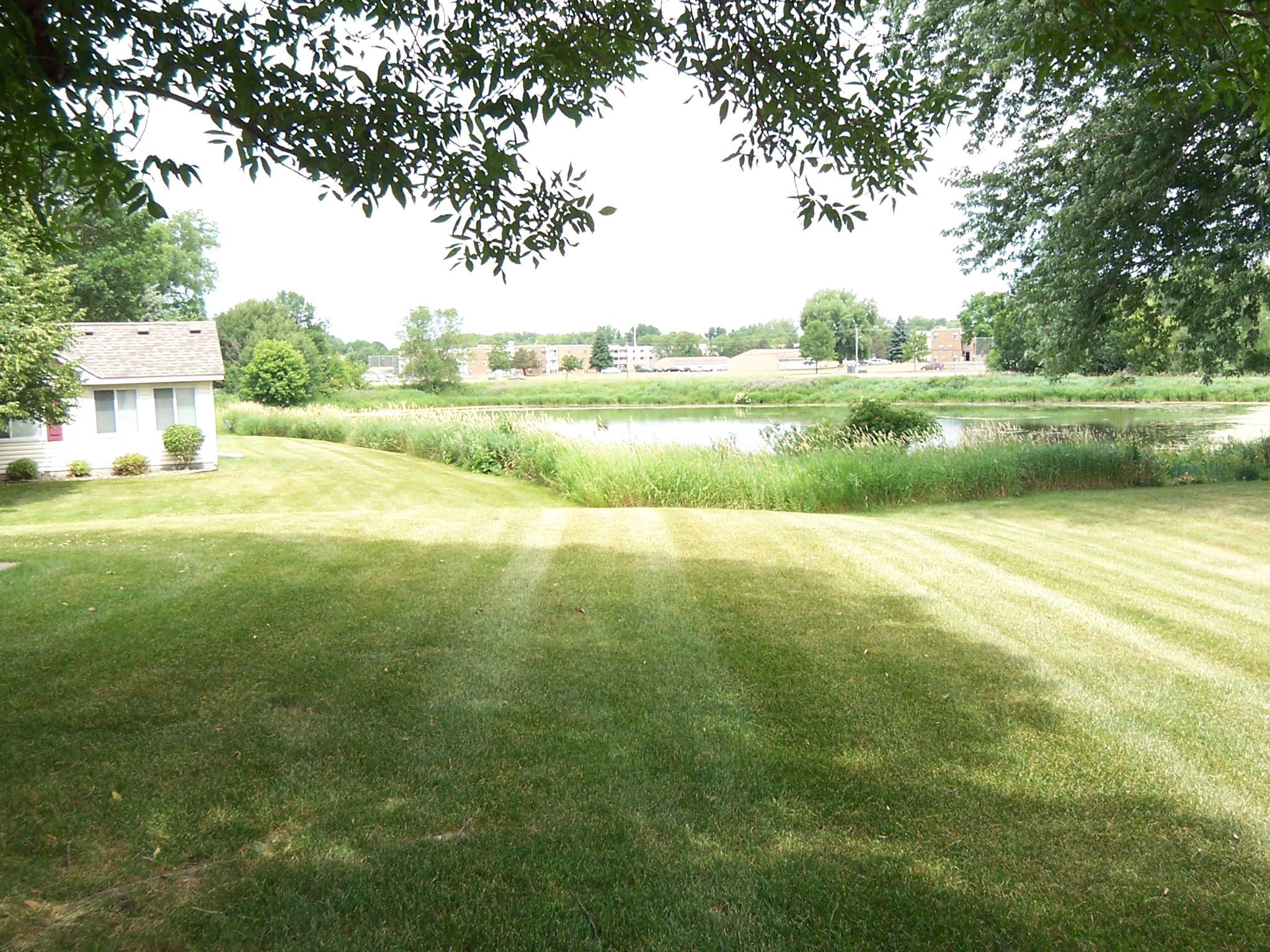 Summer view of the large yard space! Walk over to Goosepond Park!