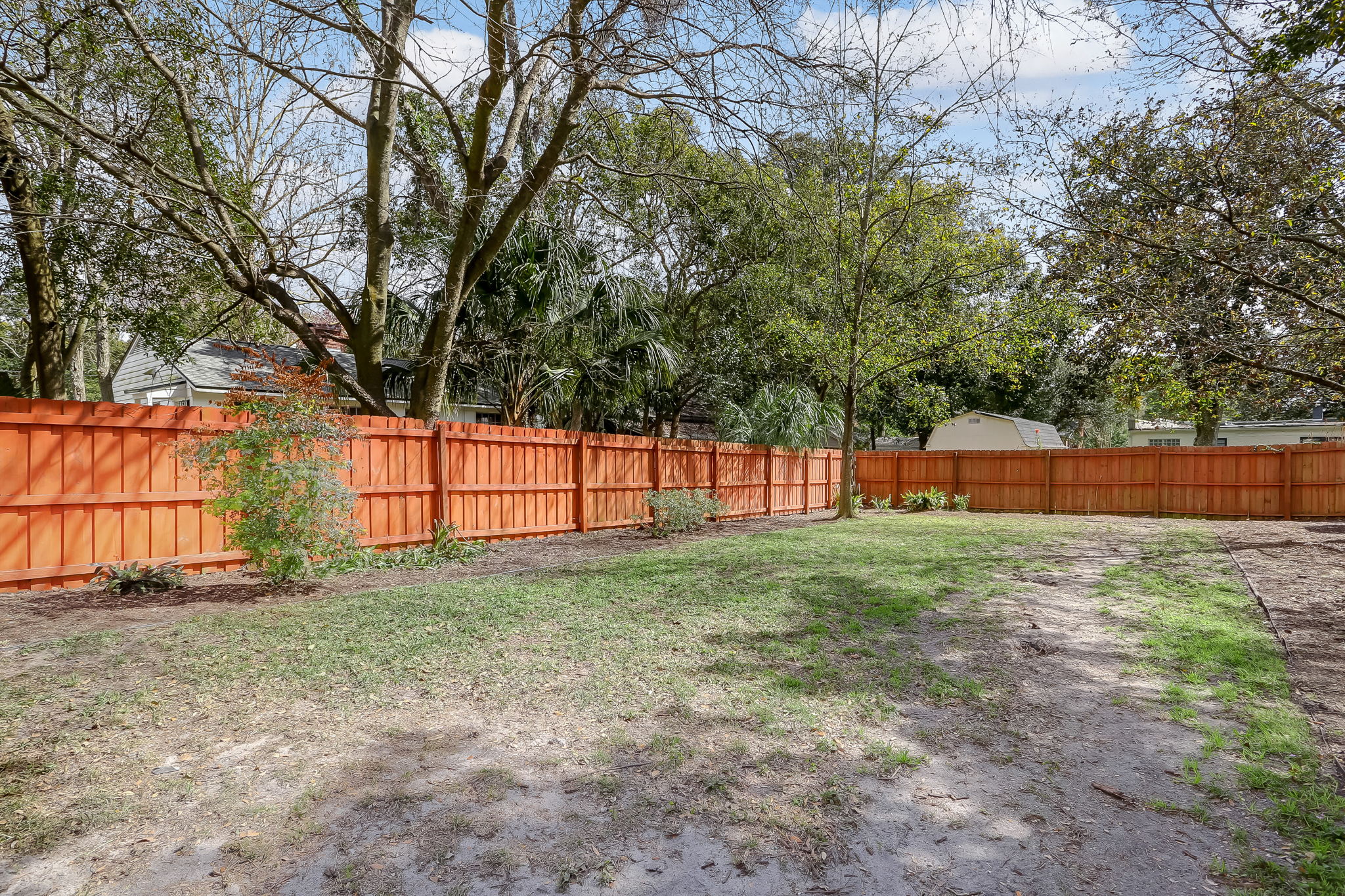 Back Yard