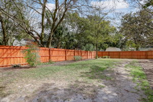 Back Yard