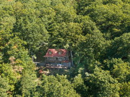  Photo 41