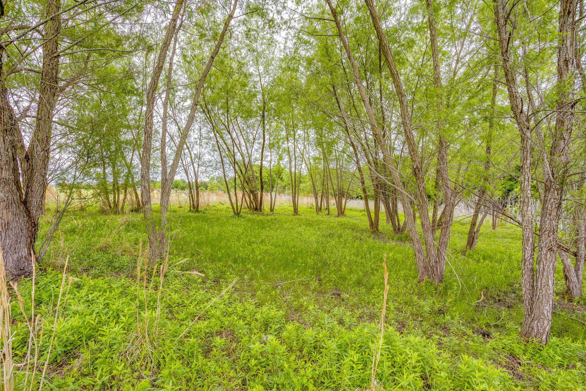  Photo 40