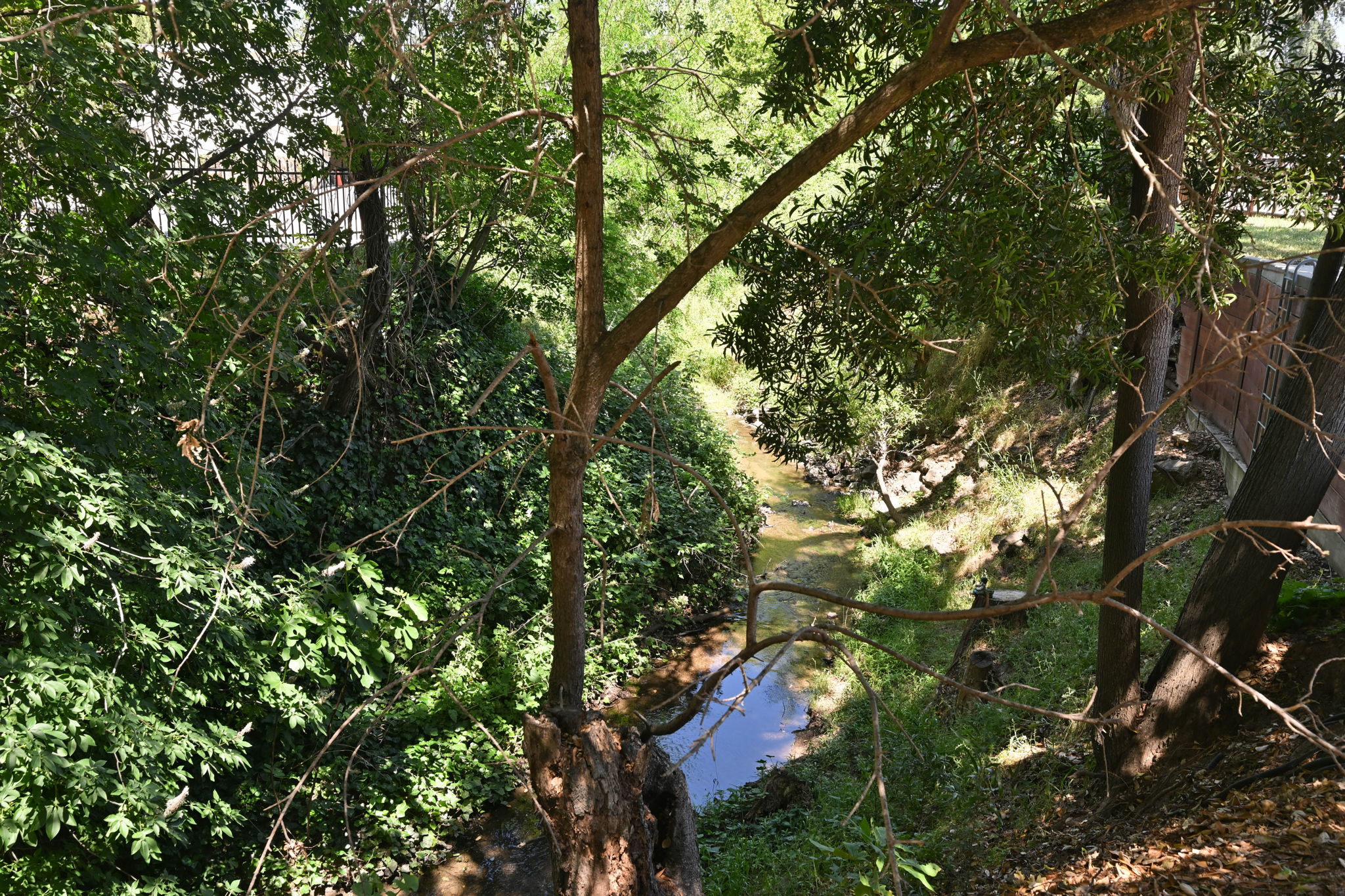  Photo 48