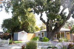  Photo 0