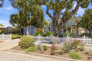  Photo 43