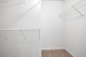 Image-14