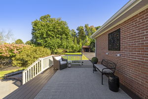  Photo 163