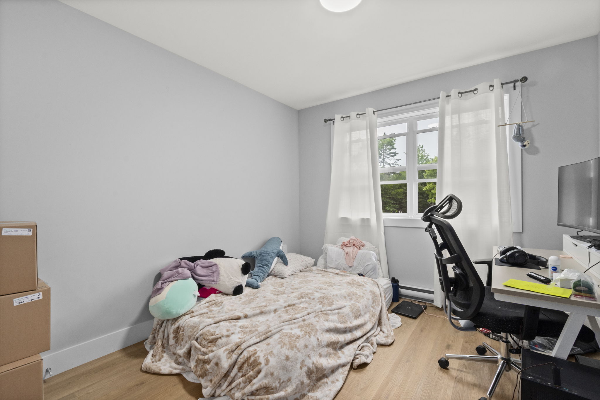  Photo 23