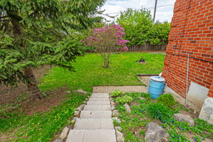  Photo 57