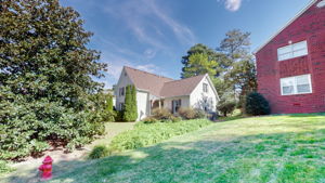  Photo 46