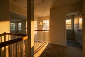  Photo 0