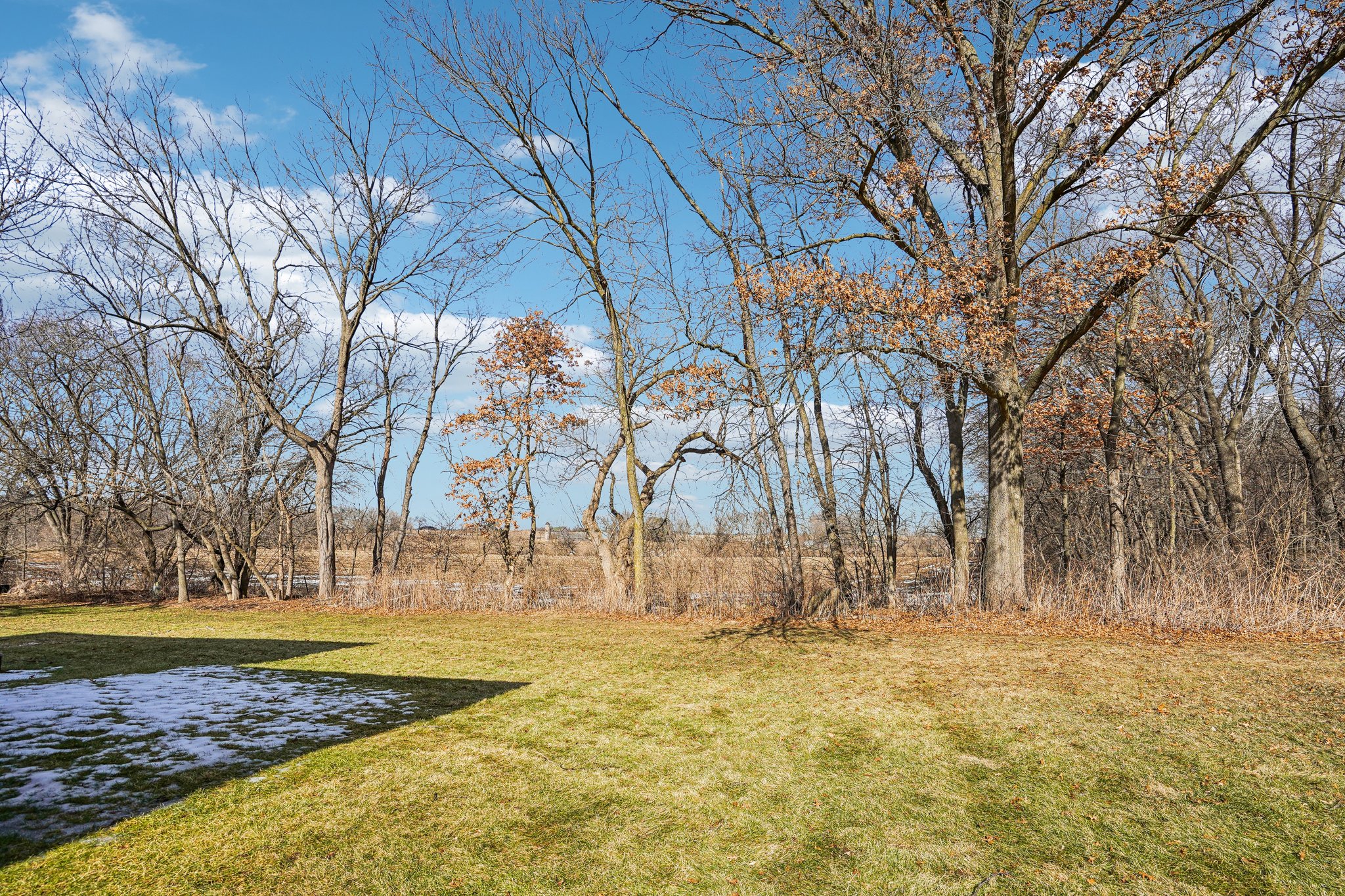 Sunny Wood Dr-S1702-050.jpg