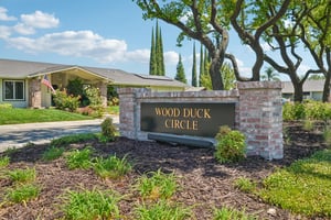 Wood Duck Cir-1607-901.jpg