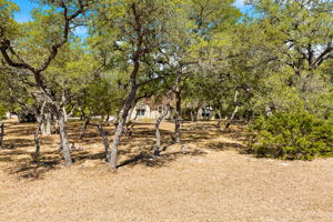 377 Acacia Pkwy, Texas 78070, USA Photo 33
