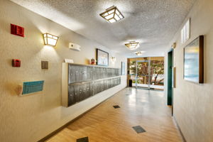 004_377 Mandarin Dr 207