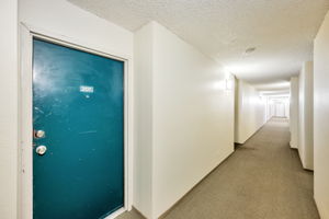 005_377 Mandarin Dr 207