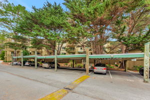 038_377 Mandarin Dr 207
