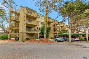 039_377 Mandarin Dr 207