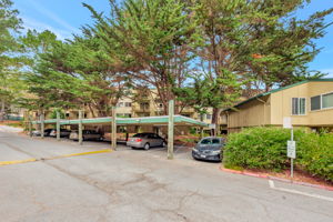 040_377 Mandarin Dr 207
