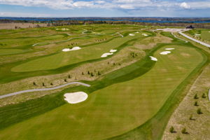 Golf Nest