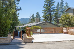  Photo 48