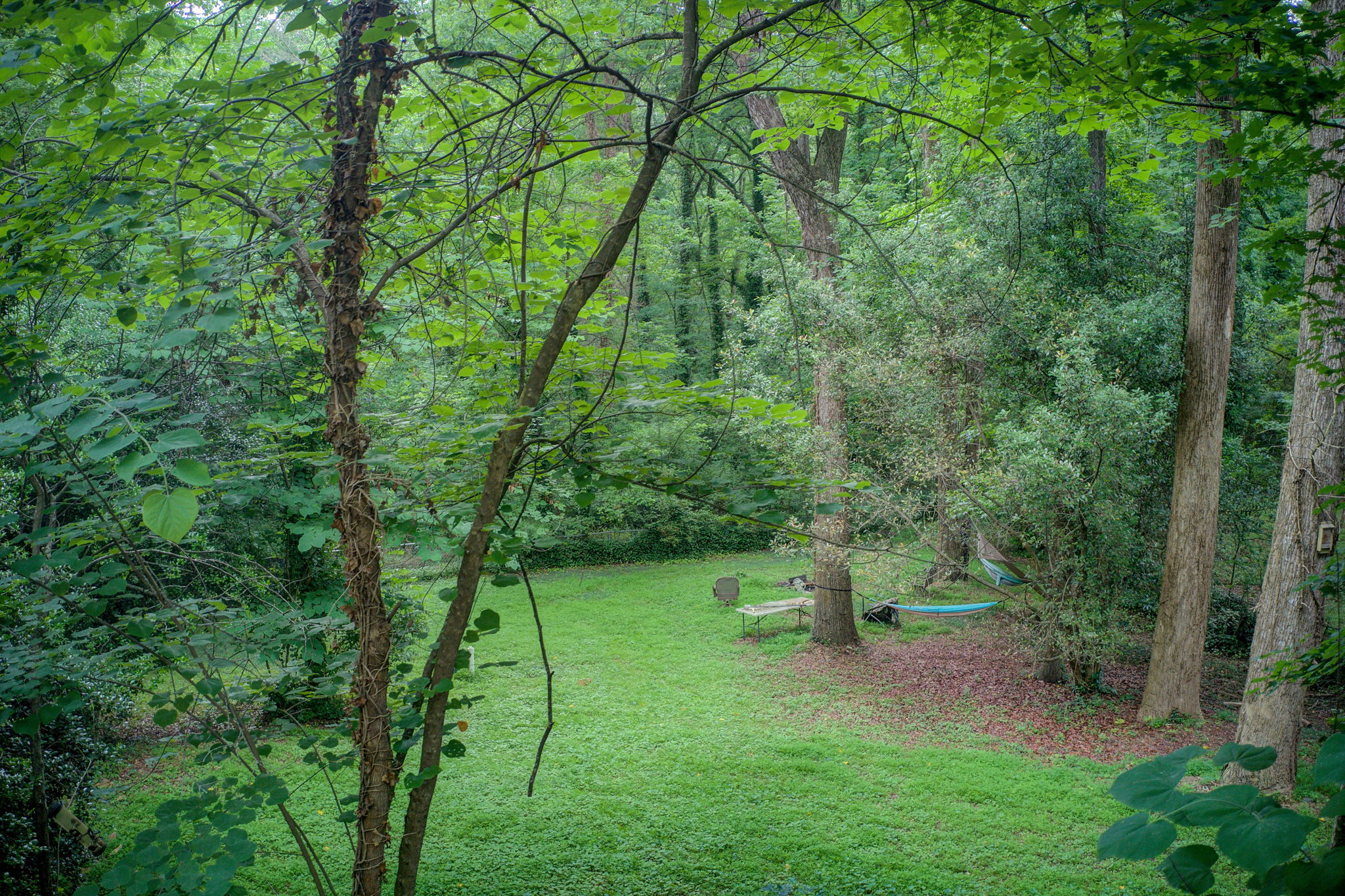 33 Aerial Back Yard C