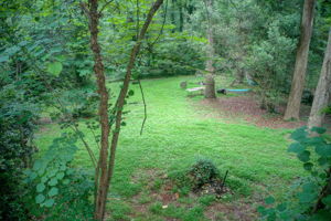 10 Aerial Back Yard A