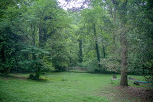 32 Aerial Back Yard B