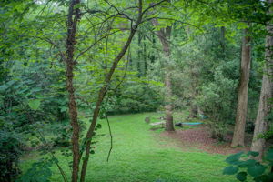 33 Aerial Back Yard C