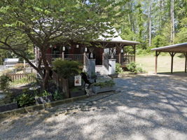  Photo 41