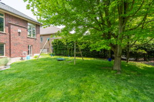  Photo 49