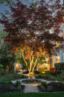 VMD013Dusk.jpg