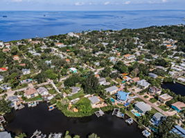Aerial (7)