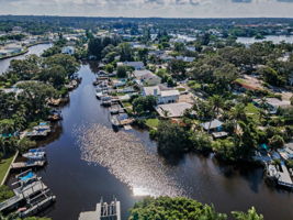 Aerial (14)