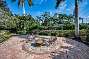 Backyard5