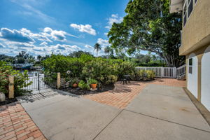Backyard9