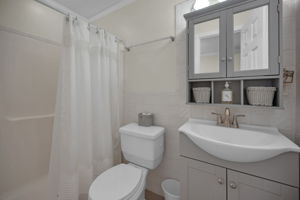 Lower Level Bathroom