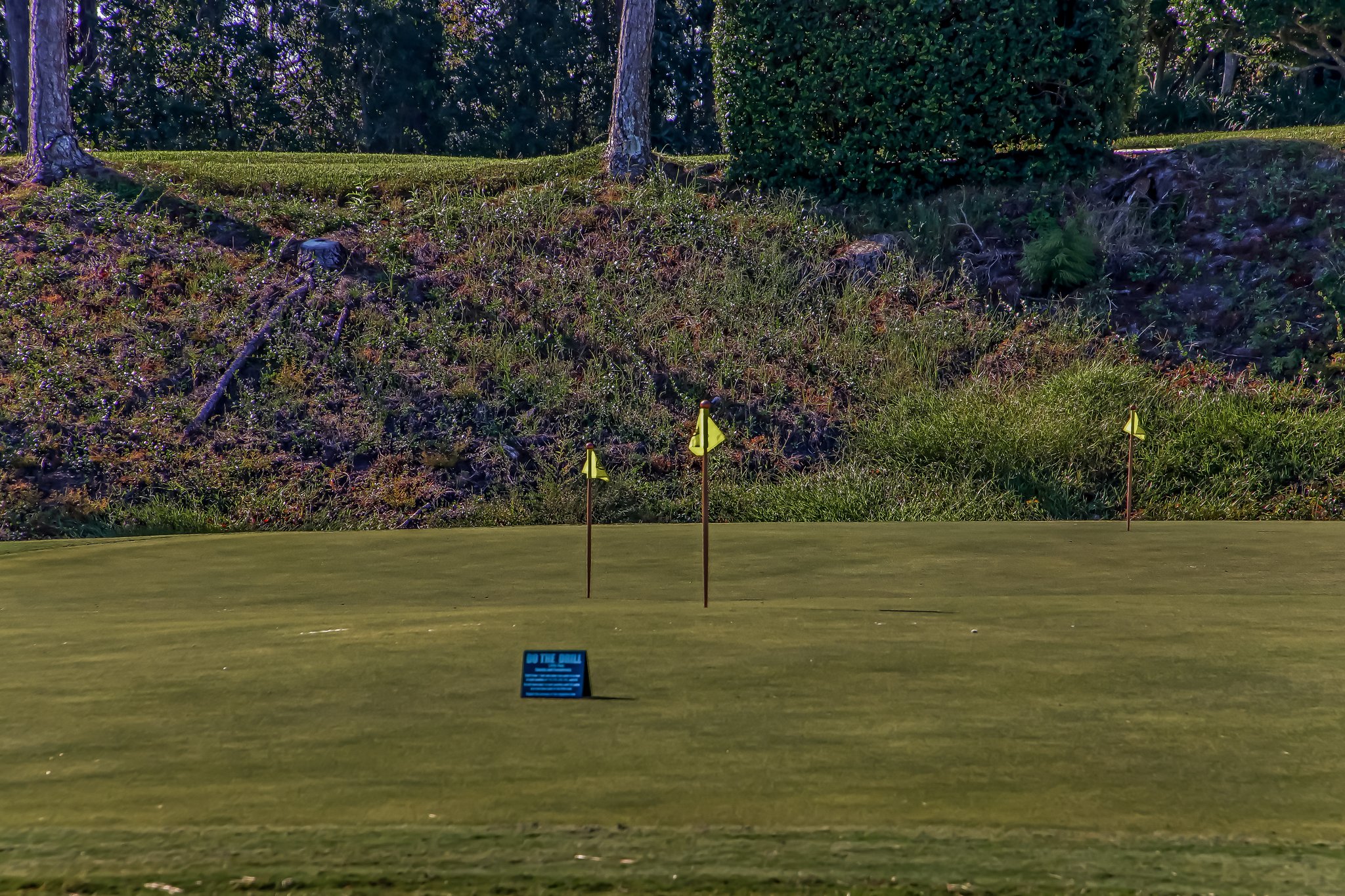 Jacksonville Golf and Country Club