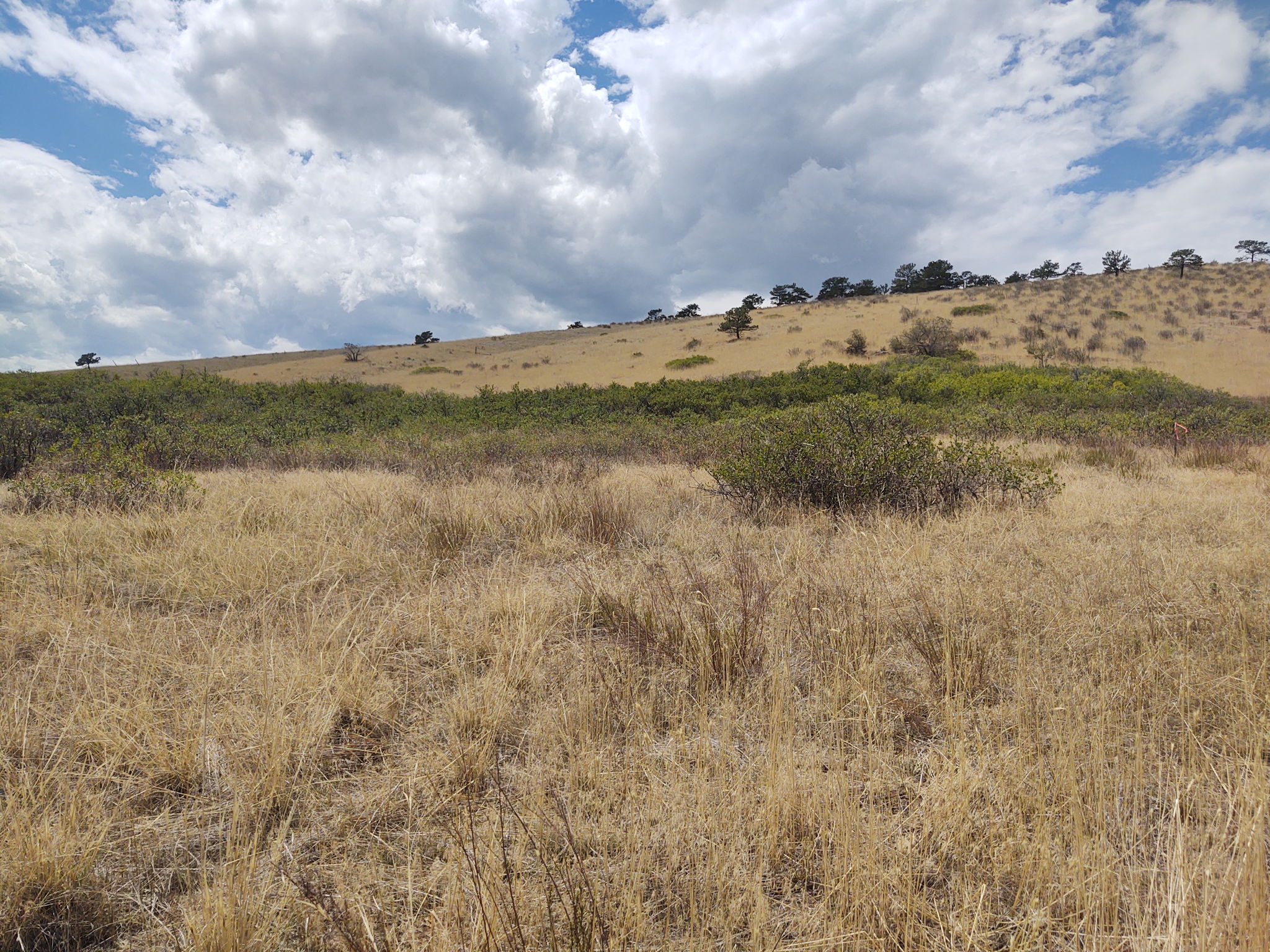 View West Across Property