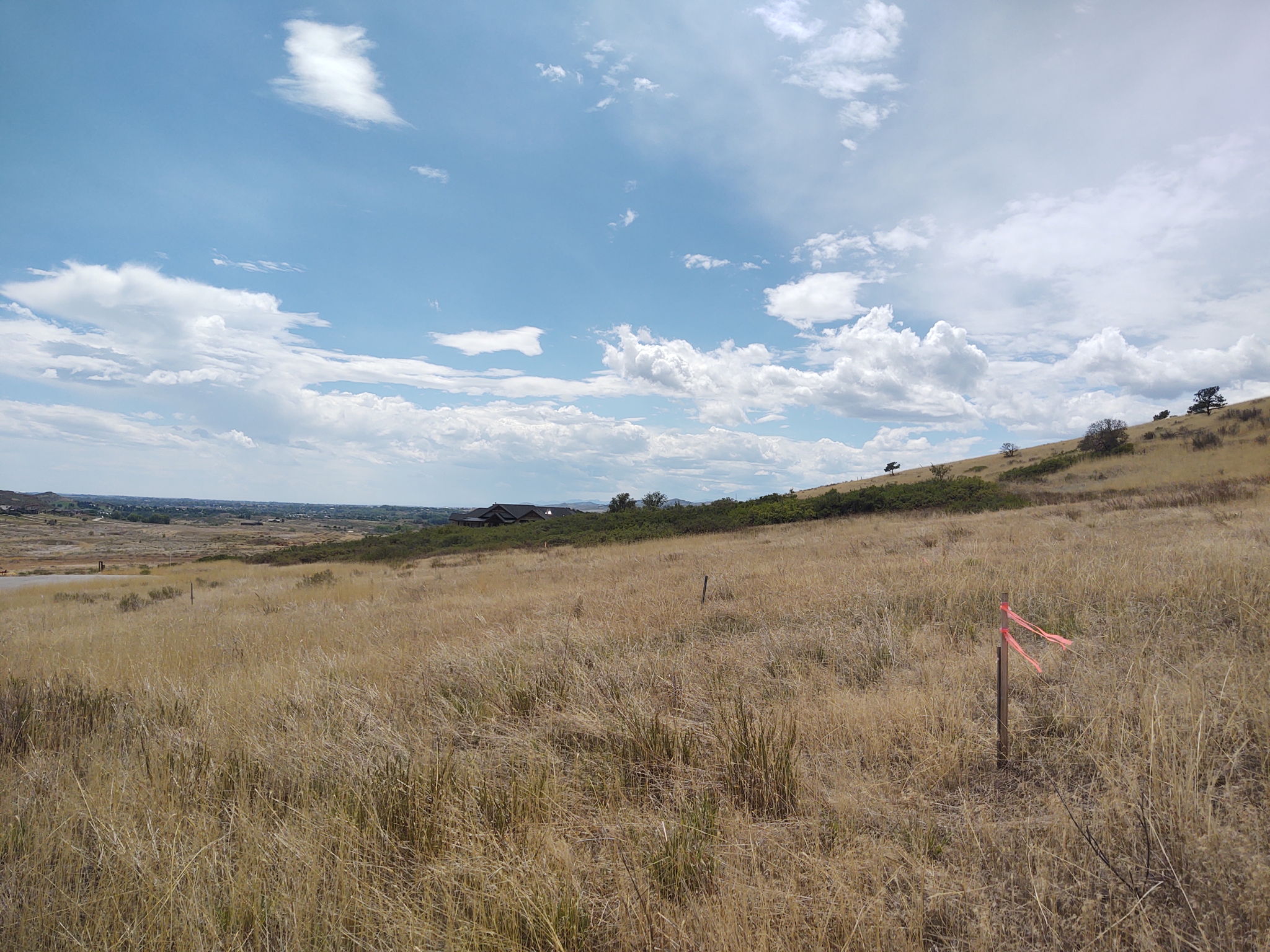 View Across Property from NE Property Corner