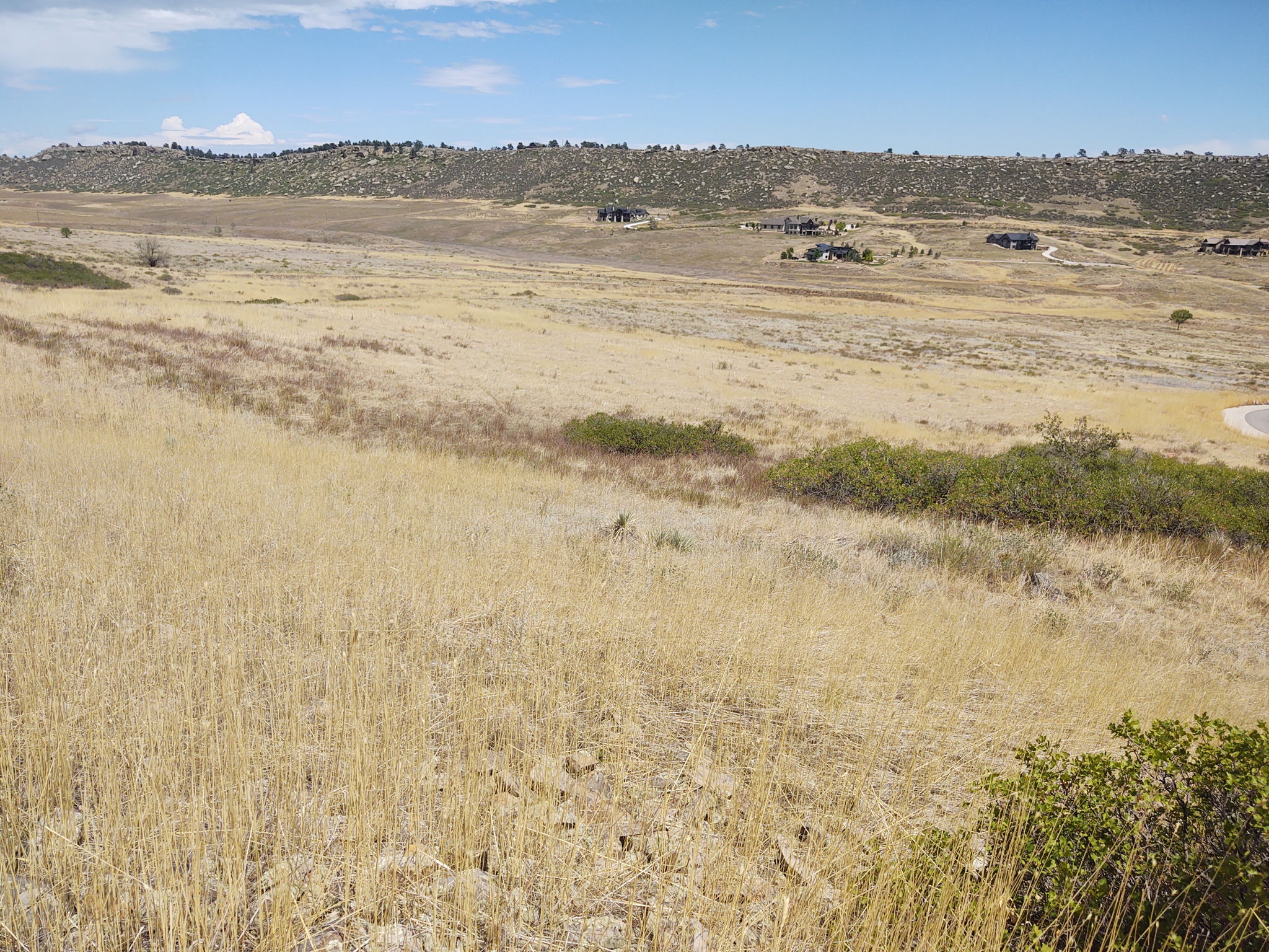 View Across 1-Acre Building Envelope from SW Corner