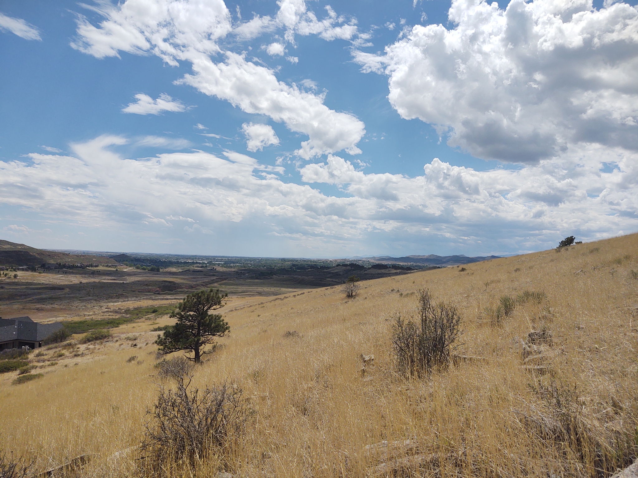 View South Along Western Property Boundary