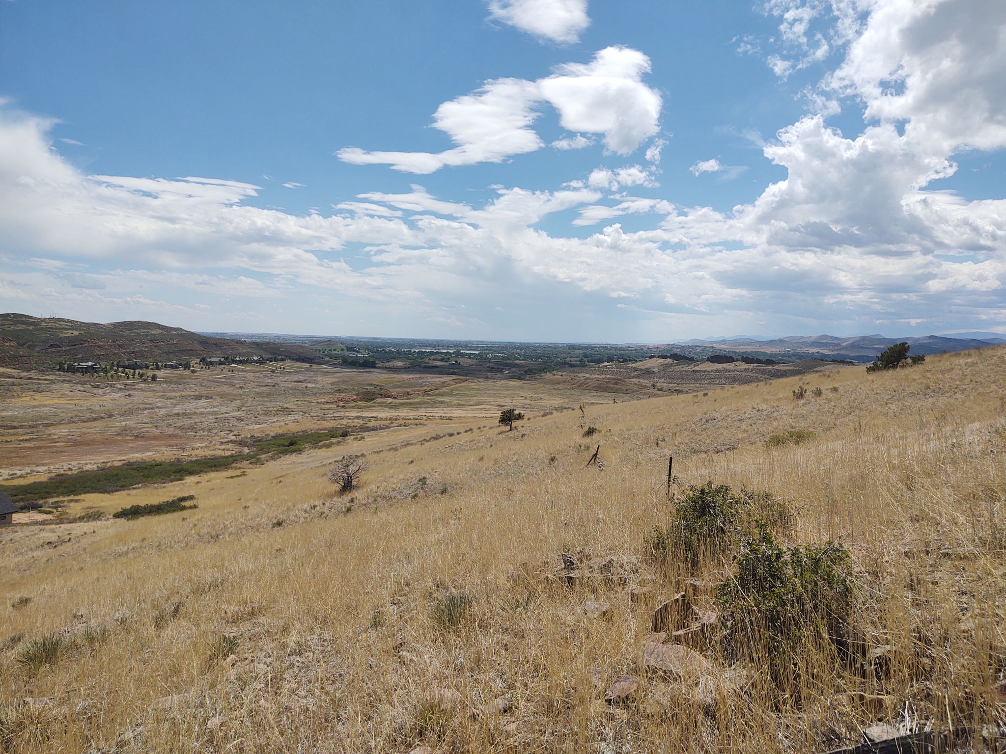 View South Along Western Property Boundary