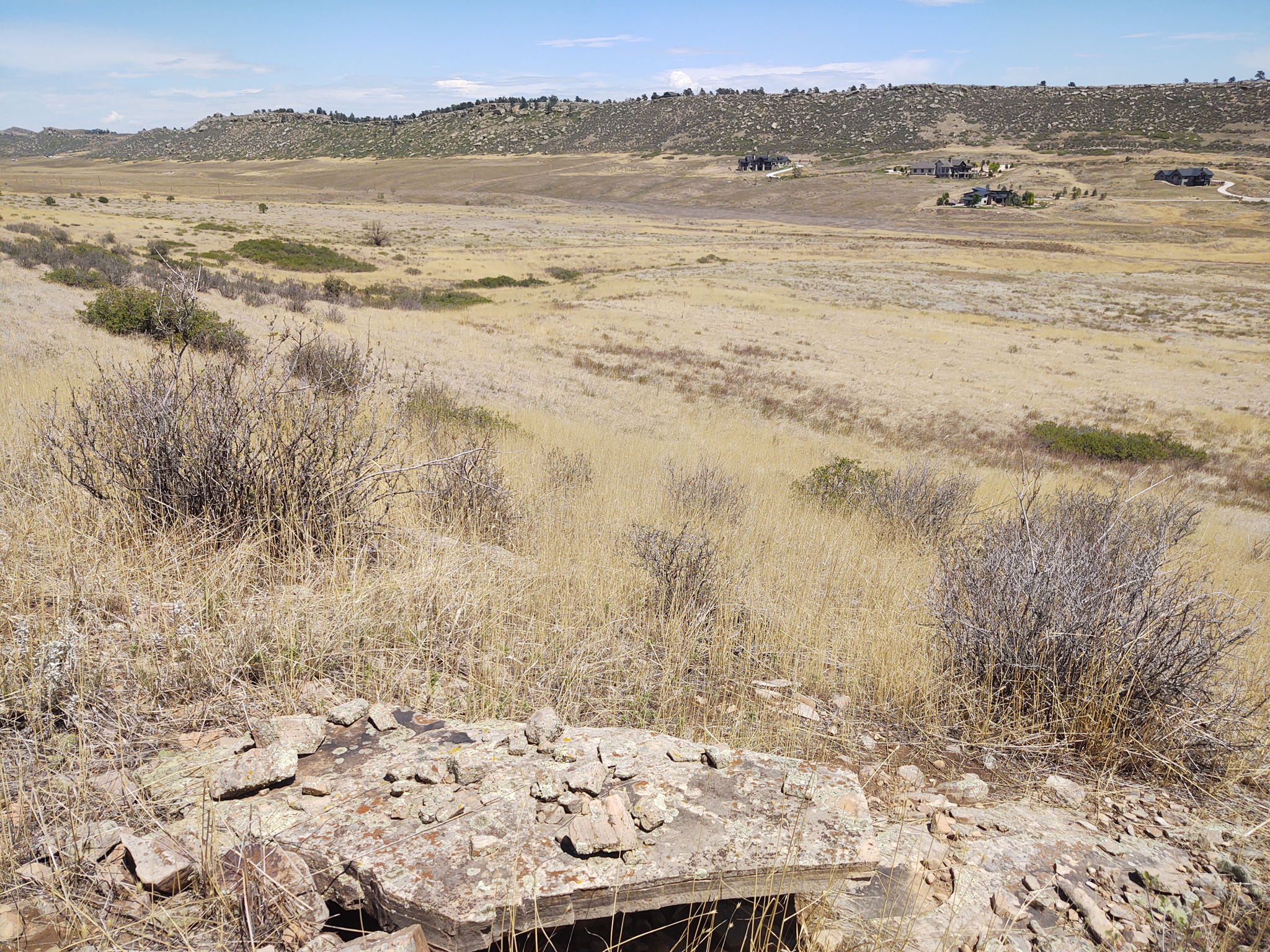 View NE Across Property