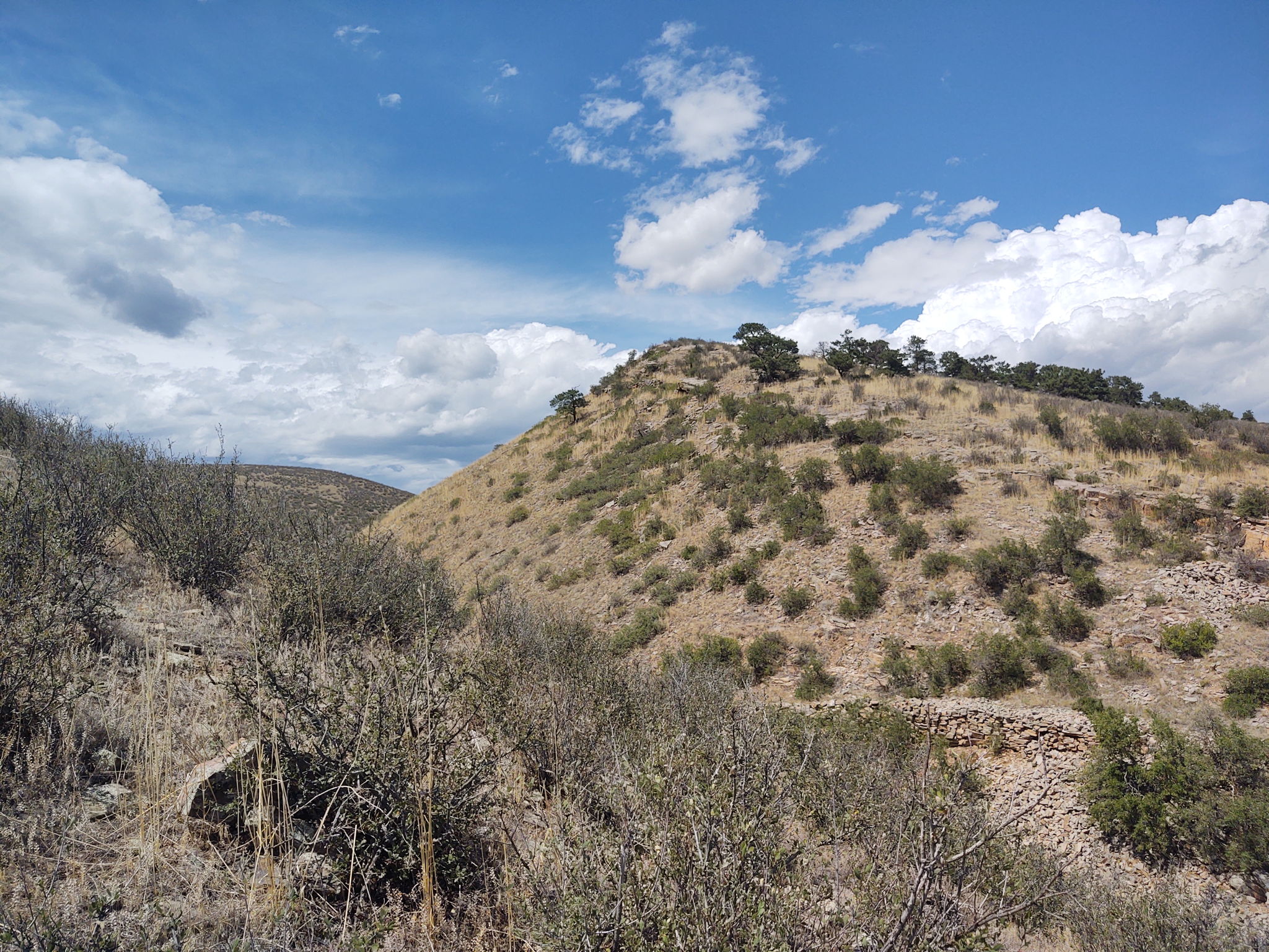 View NW from Northern Property Boundary
