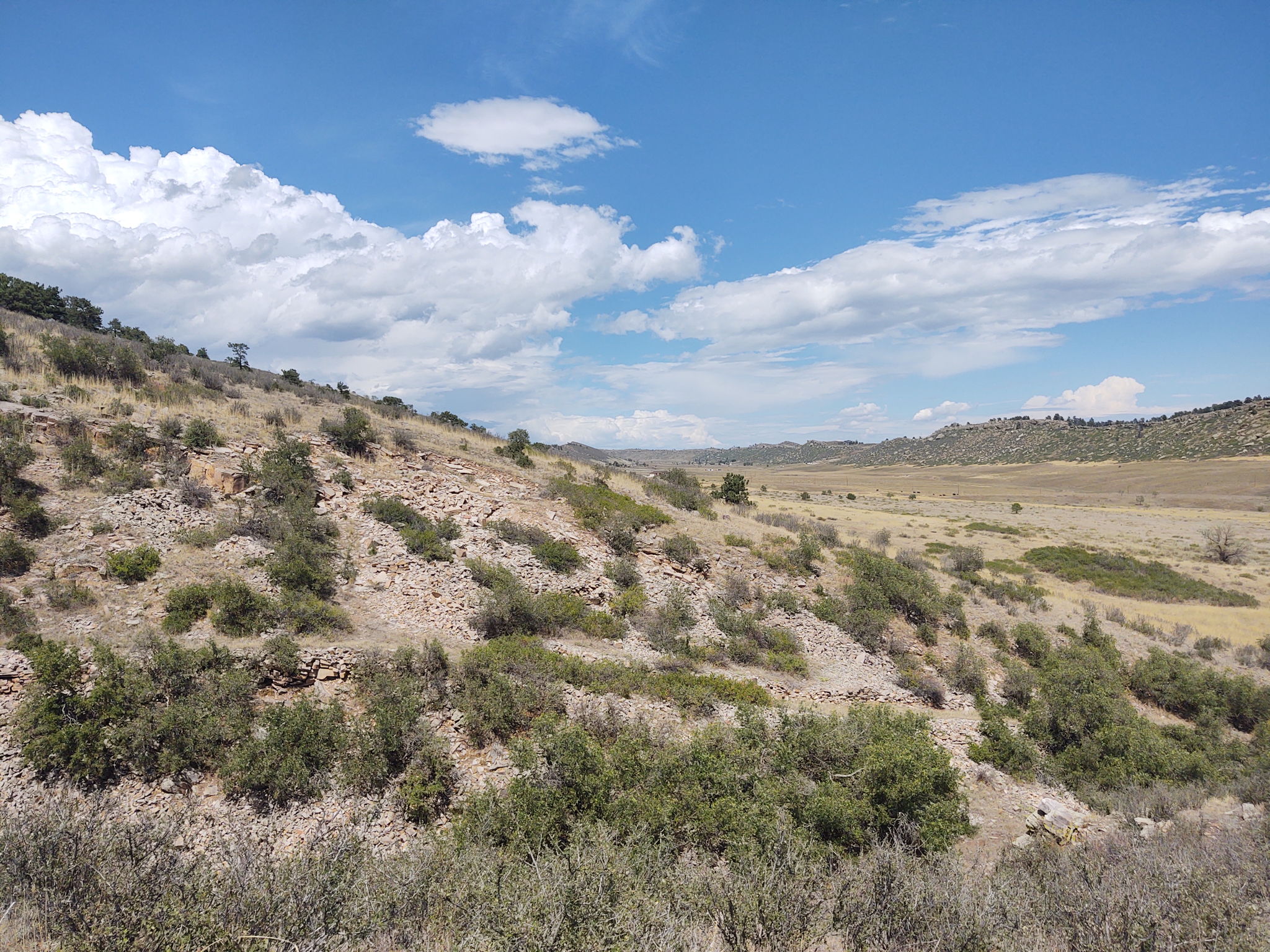 View North from Northern Property Boundary