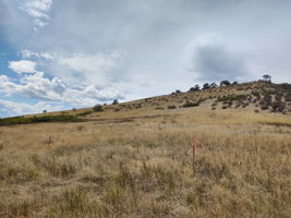 View Across 1-Acre Building Envelope from NE Corner