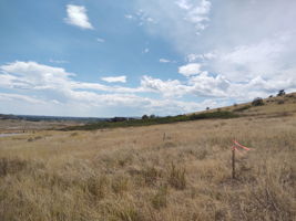 View Across Property from NE Property Corner